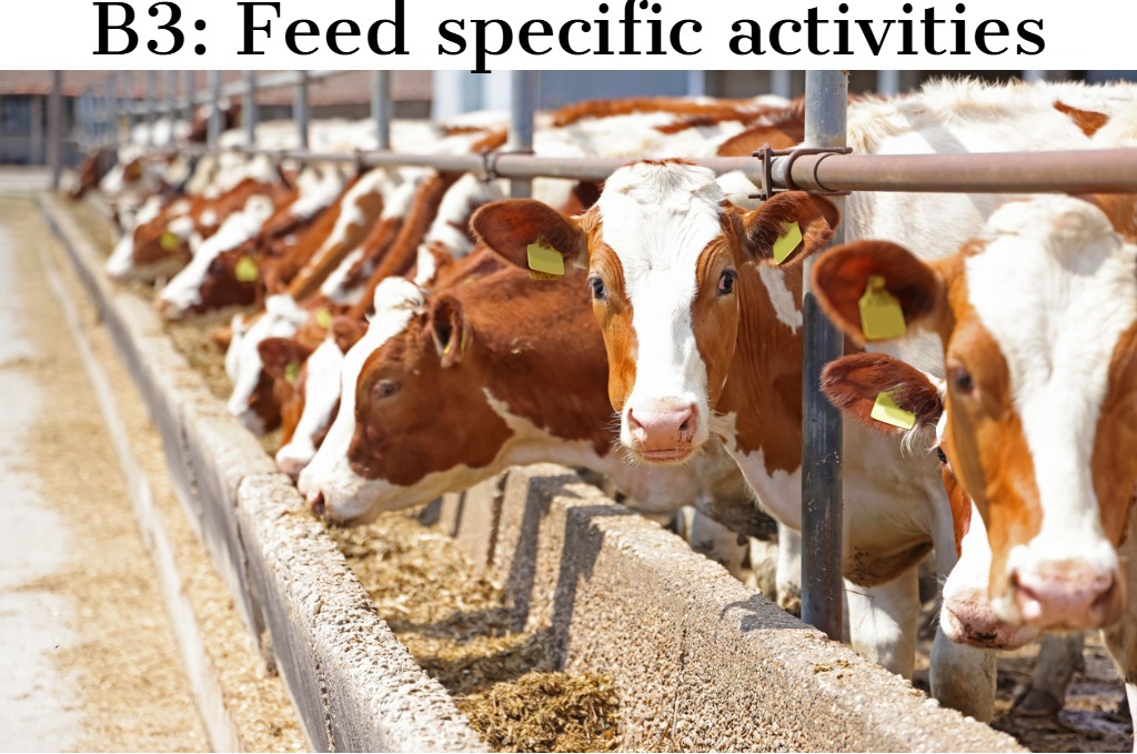 B3 Feed Specific Activities